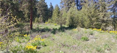 8010 Green Road Peshastin WA 98847