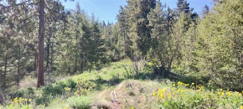 8010 Green Road Peshastin WA 98847