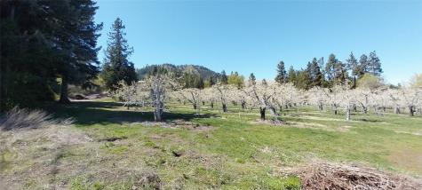 8010 Green Road Peshastin WA 98847