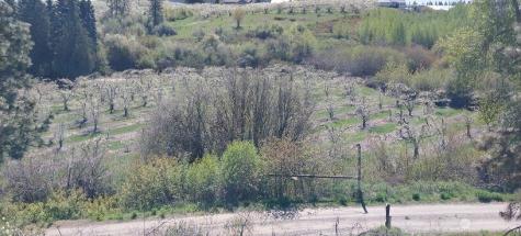 8010 Green Road Peshastin WA 98847