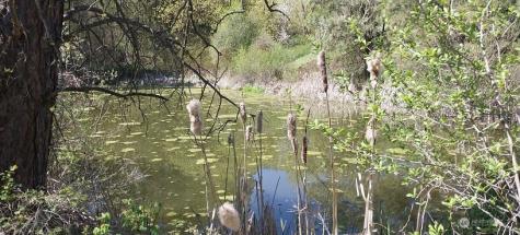 8010 Green Road Peshastin WA 98847