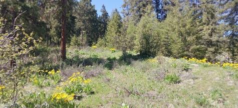 8010 Green Road Peshastin WA 98847