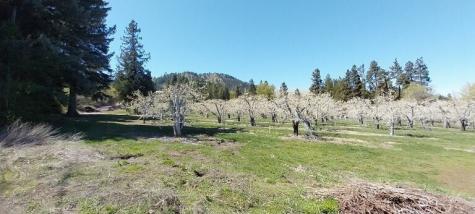 8010 Green Road Peshastin WA 98847