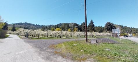 8010 Green Road Peshastin WA 98847