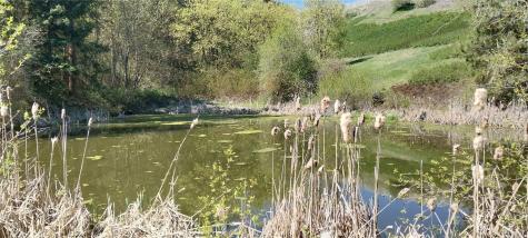 8010 Green Road Peshastin WA 98847