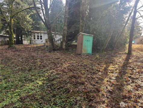 106 Olequa Place Vader WA 98593