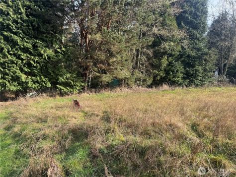 106 Olequa Place Vader WA 98593