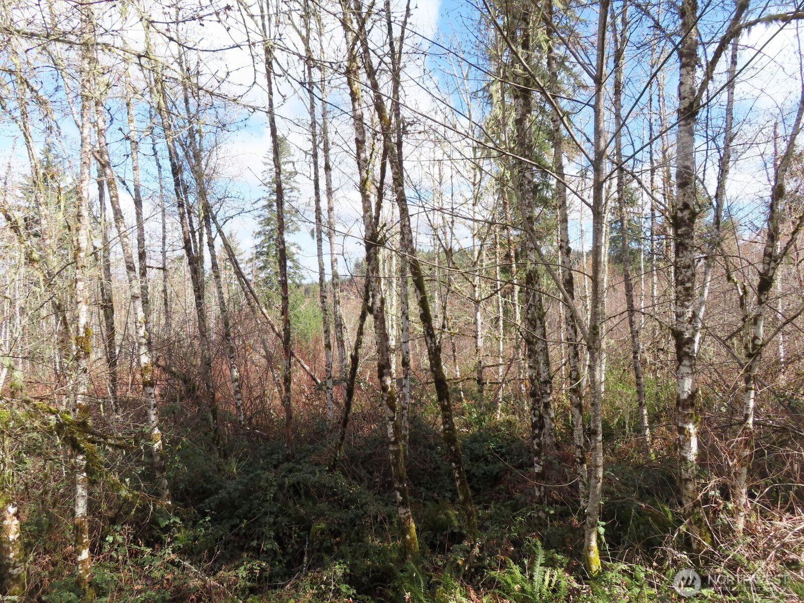 125 Oppelt Road Chehalis WA 98532