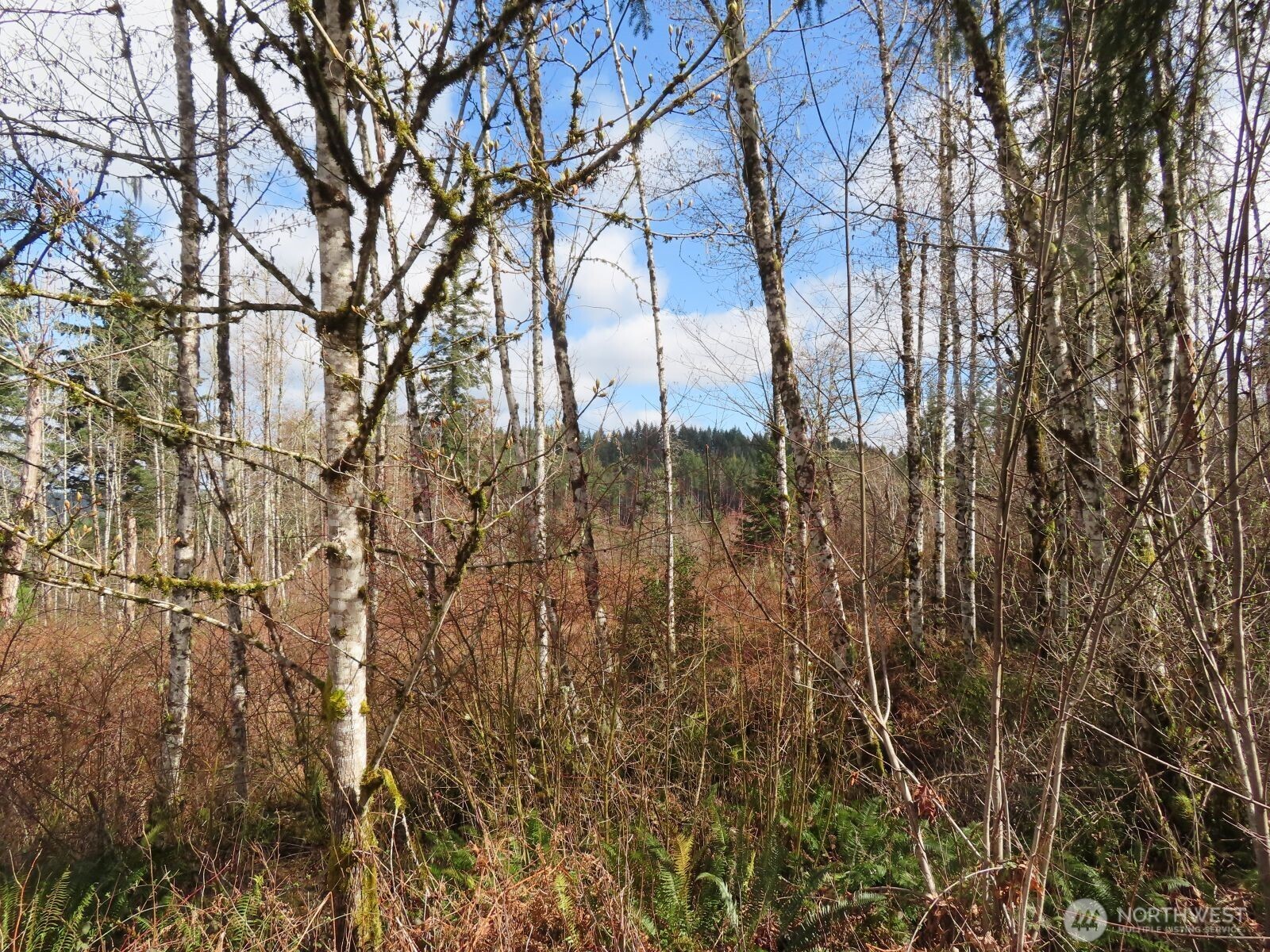 125 Oppelt Road Chehalis WA 98532