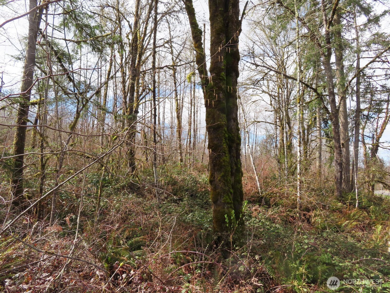 125 Oppelt Road Chehalis WA 98532