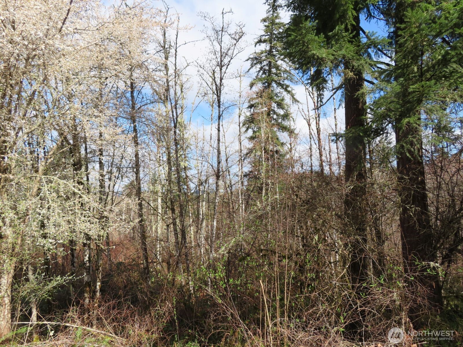 125 Oppelt Road Chehalis WA 98532