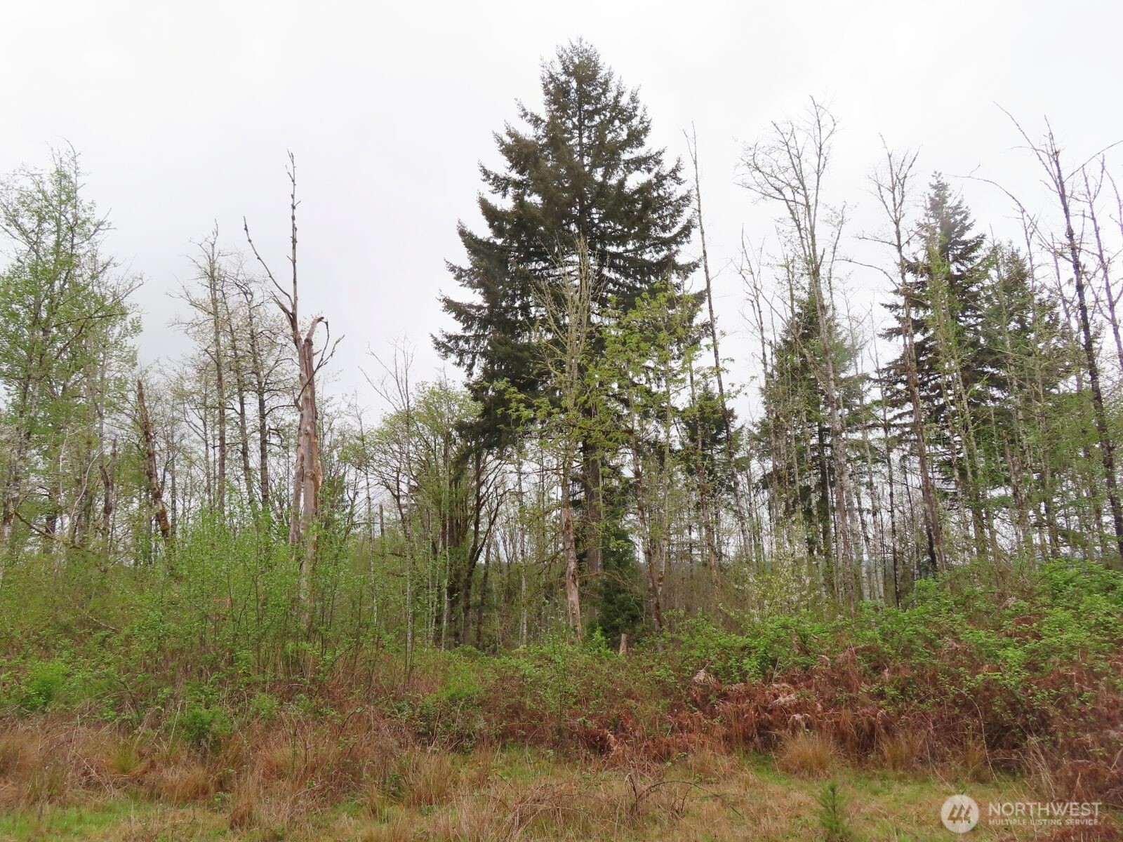 125 Oppelt Road Chehalis WA 98532