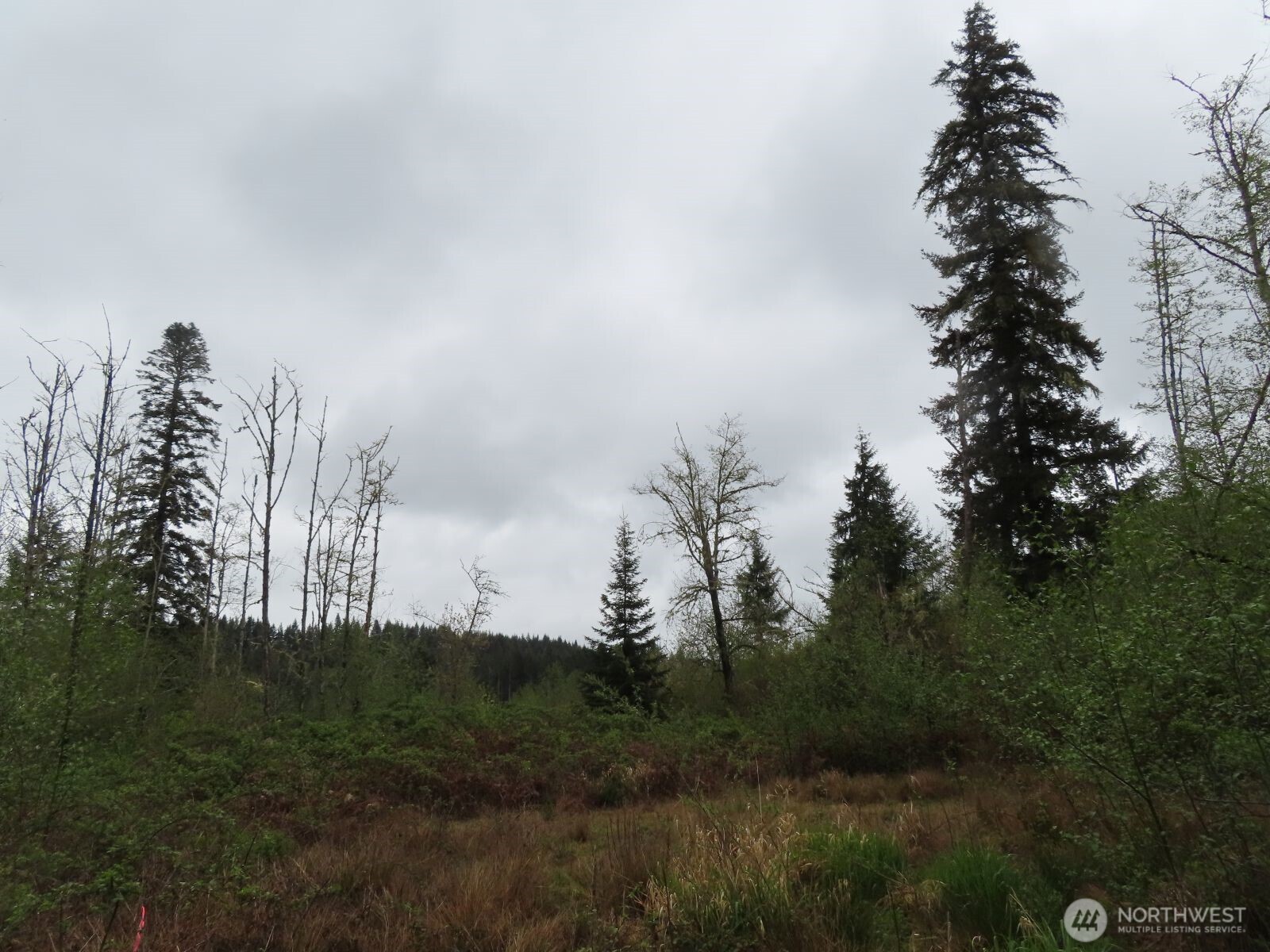 125 Oppelt Road Chehalis WA 98532