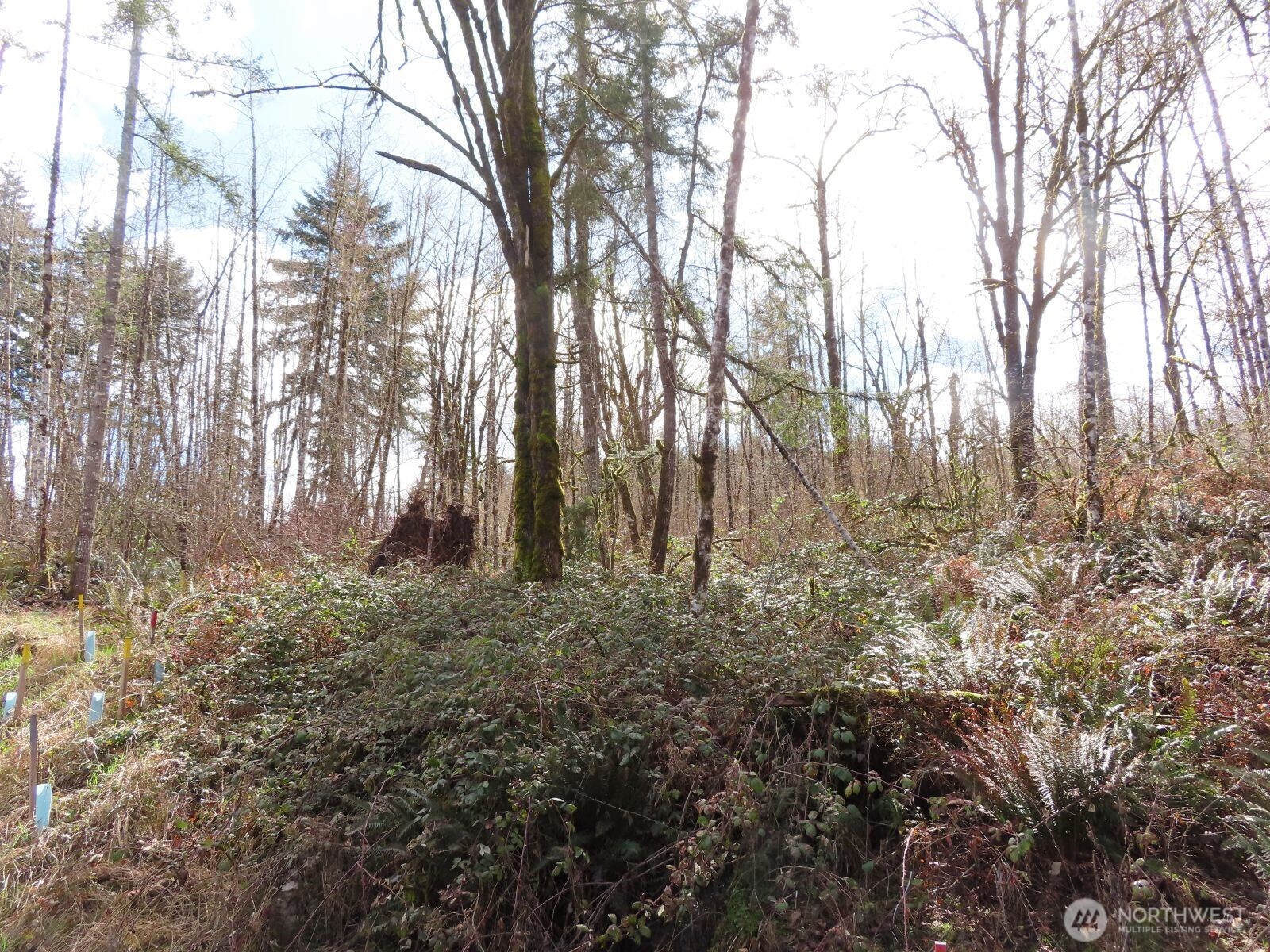 125 Oppelt Road Chehalis WA 98532