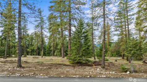 112 Wanawish Loop Cle Elum WA 98922