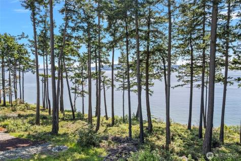 1420 Sergios View Lane Oak Harbor WA 98277