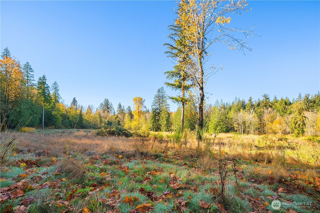 25520 SE Old Black Nugget Road Issaquah WA 98029