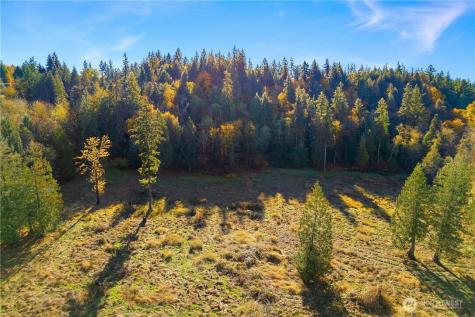 25520 SE Old Black Nugget Road Issaquah WA 98029