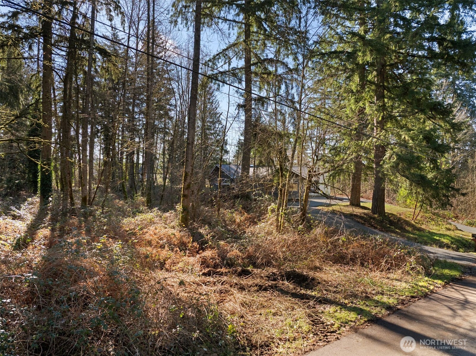 18121 SE 147th Street Renton WA 98059