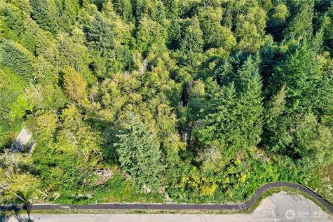 924 288th Street NW Arlington WA 98223