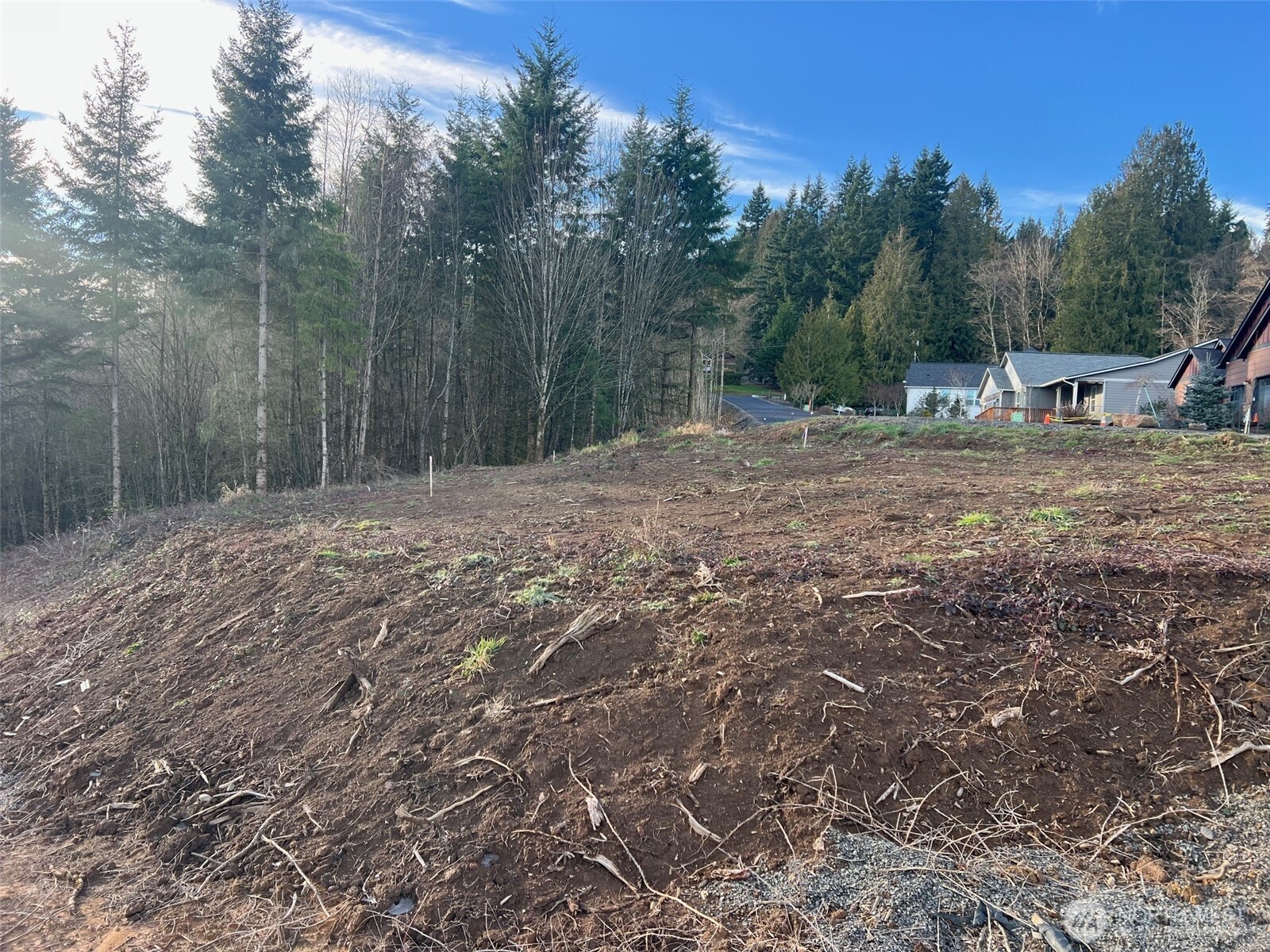 275 Livingston Heights Drive Longview WA 98632