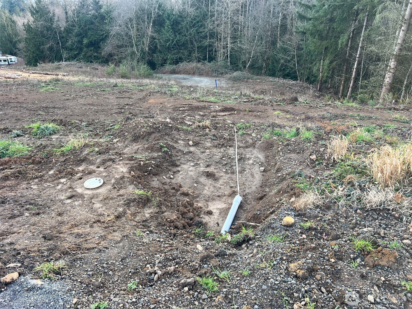 275 Livingston Heights Drive Longview WA 98632