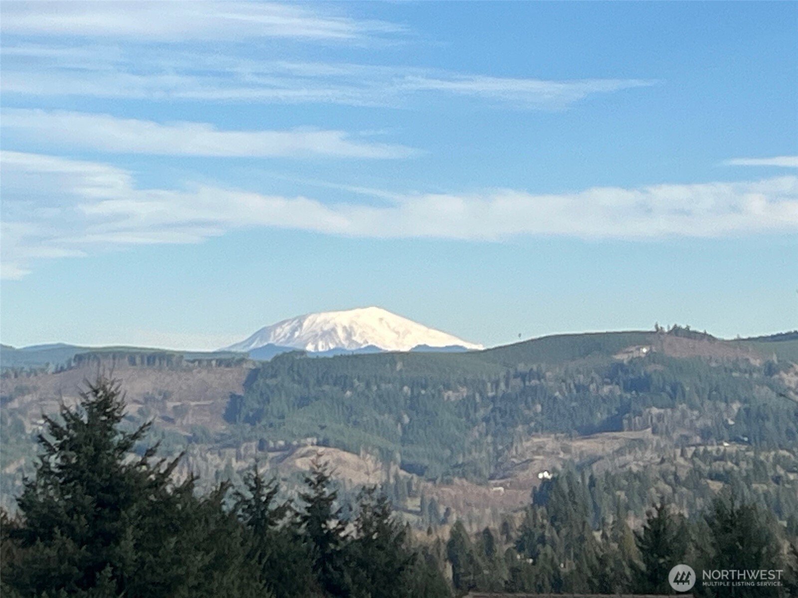 275 Livingston Heights Drive Longview WA 98632