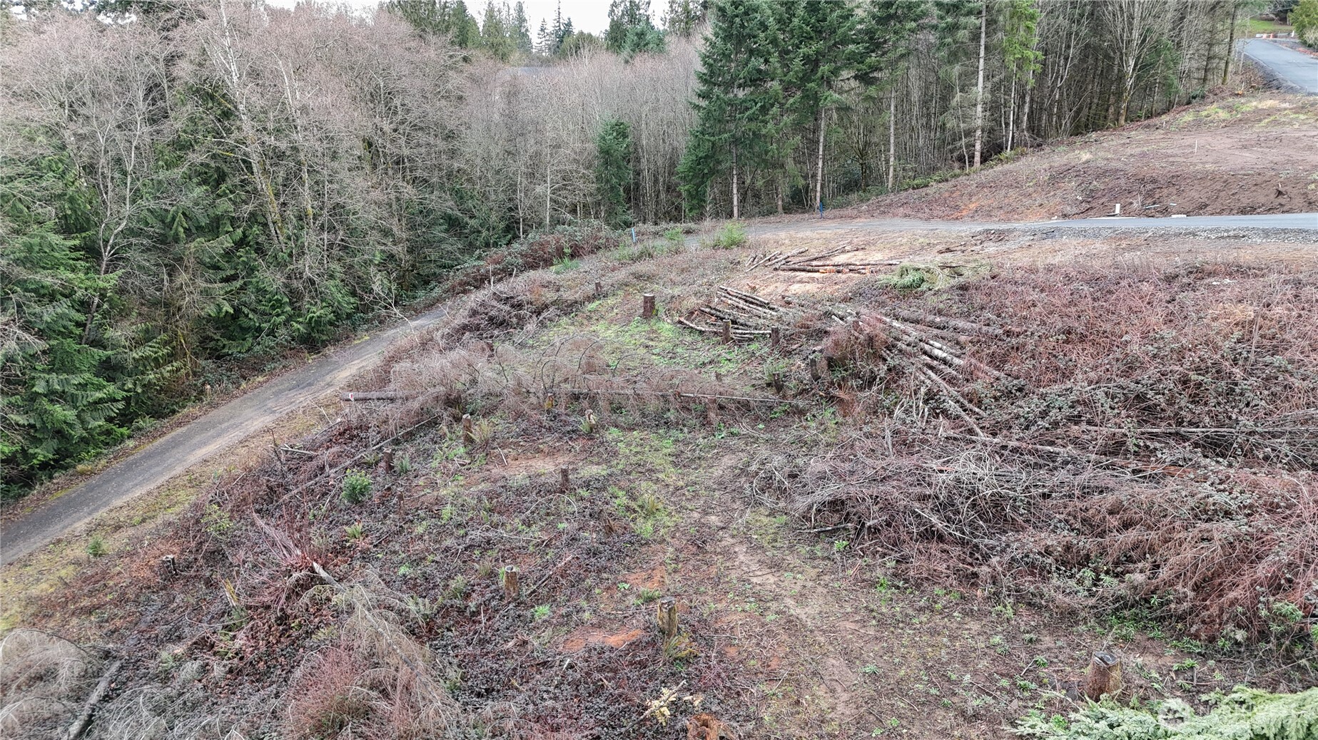 275 Livingston Heights Drive Longview WA 98632