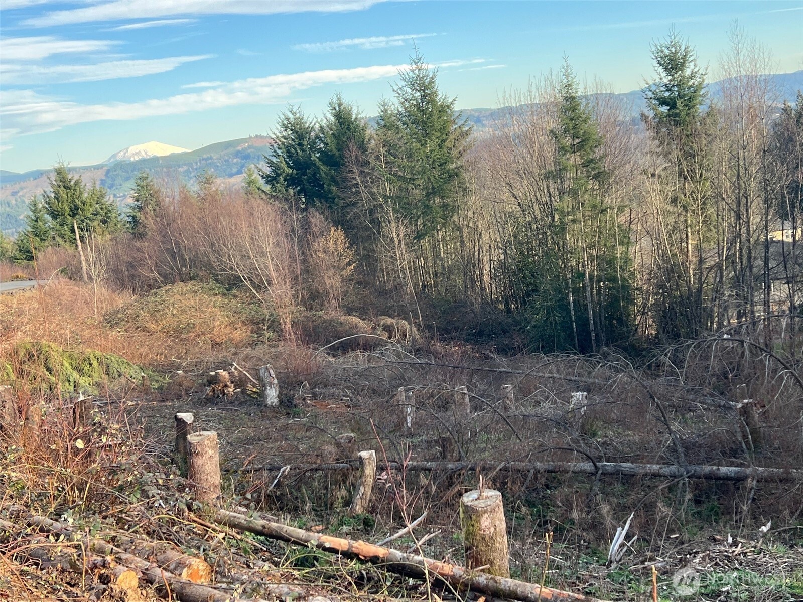 275 Livingston Heights Drive Longview WA 98632