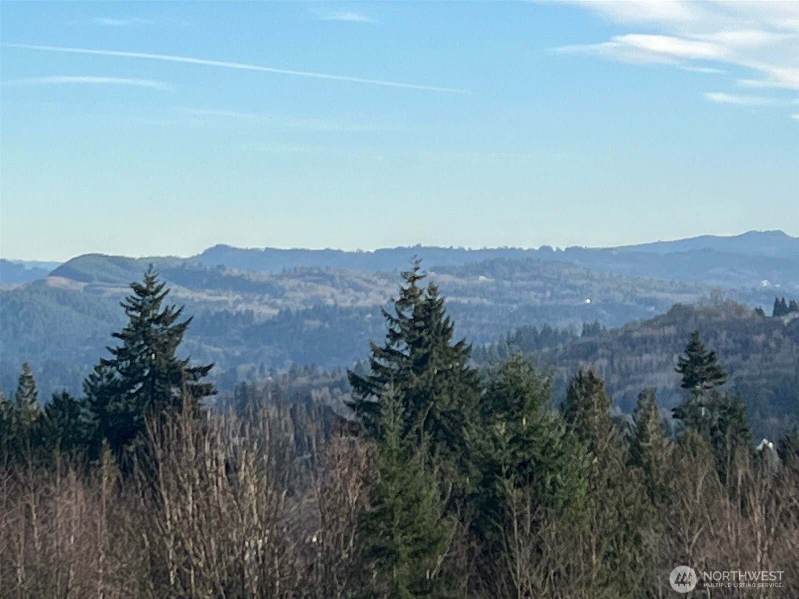 275 Livingston Heights Drive Longview WA 98632