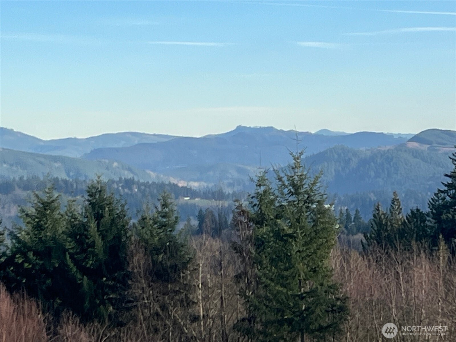 275 Livingston Heights Drive Longview WA 98632