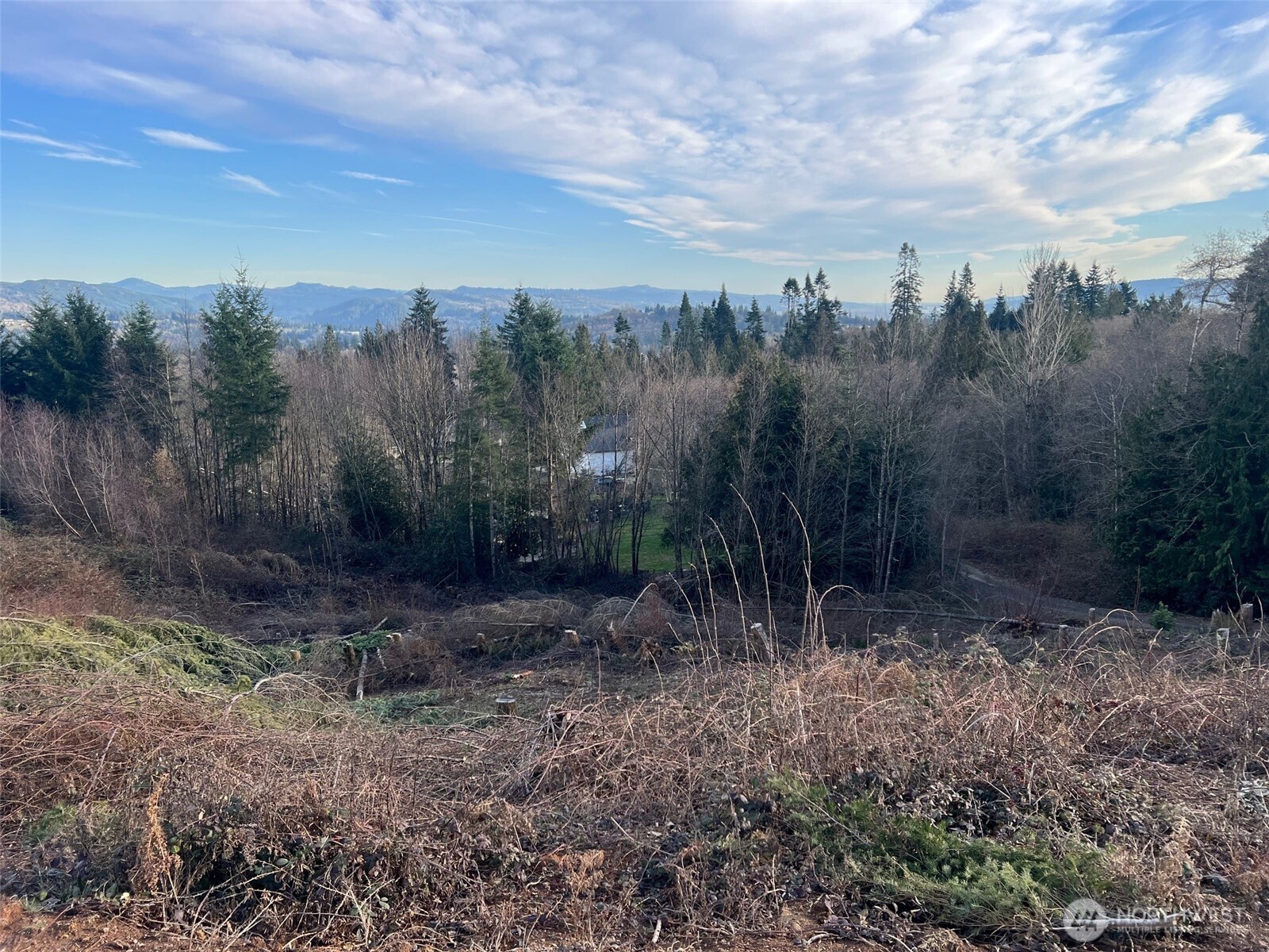 275 Livingston Heights Drive Longview WA 98632