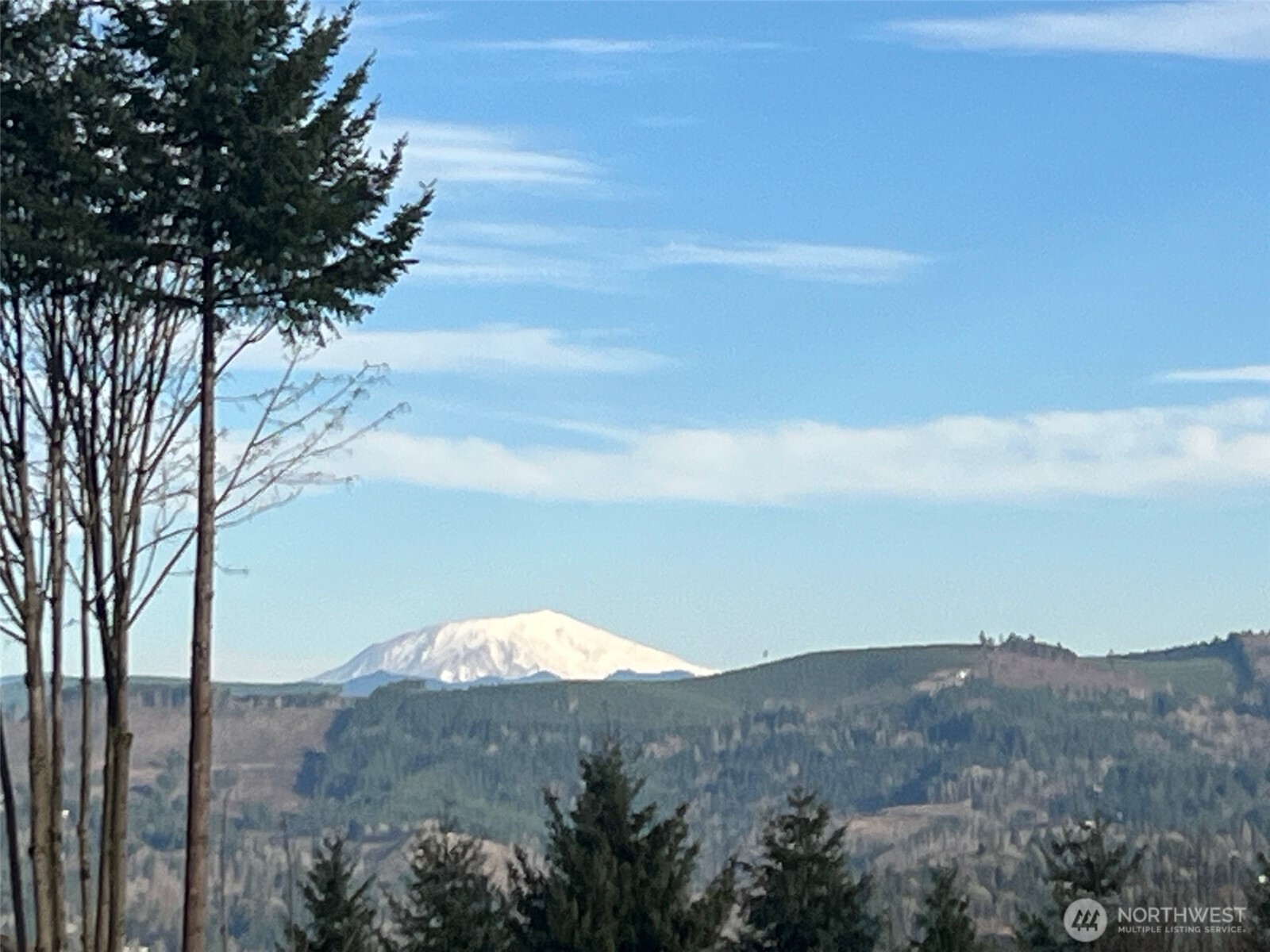 275 Livingston Heights Drive Longview WA 98632