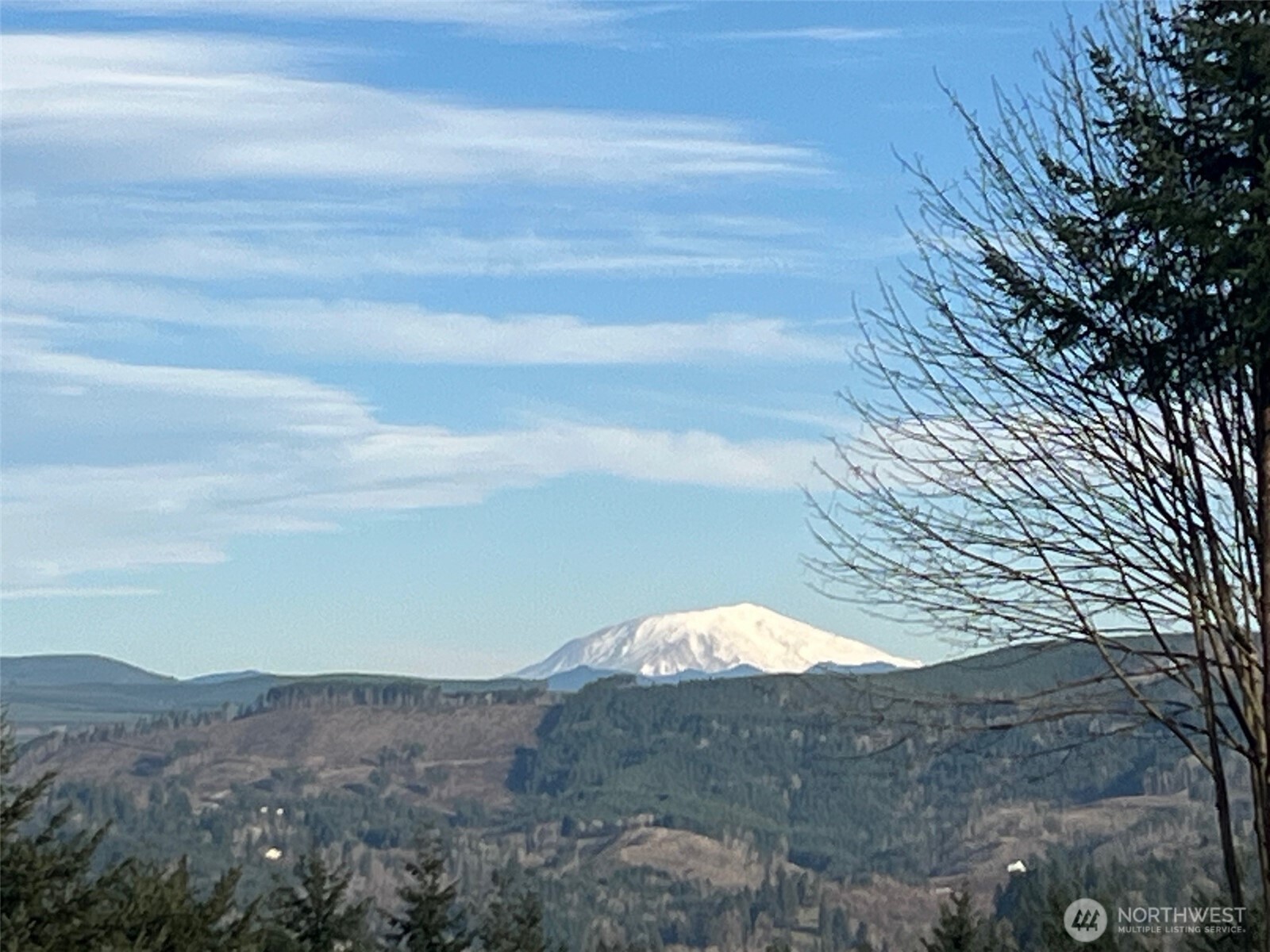 275 Livingston Heights Drive Longview WA 98632