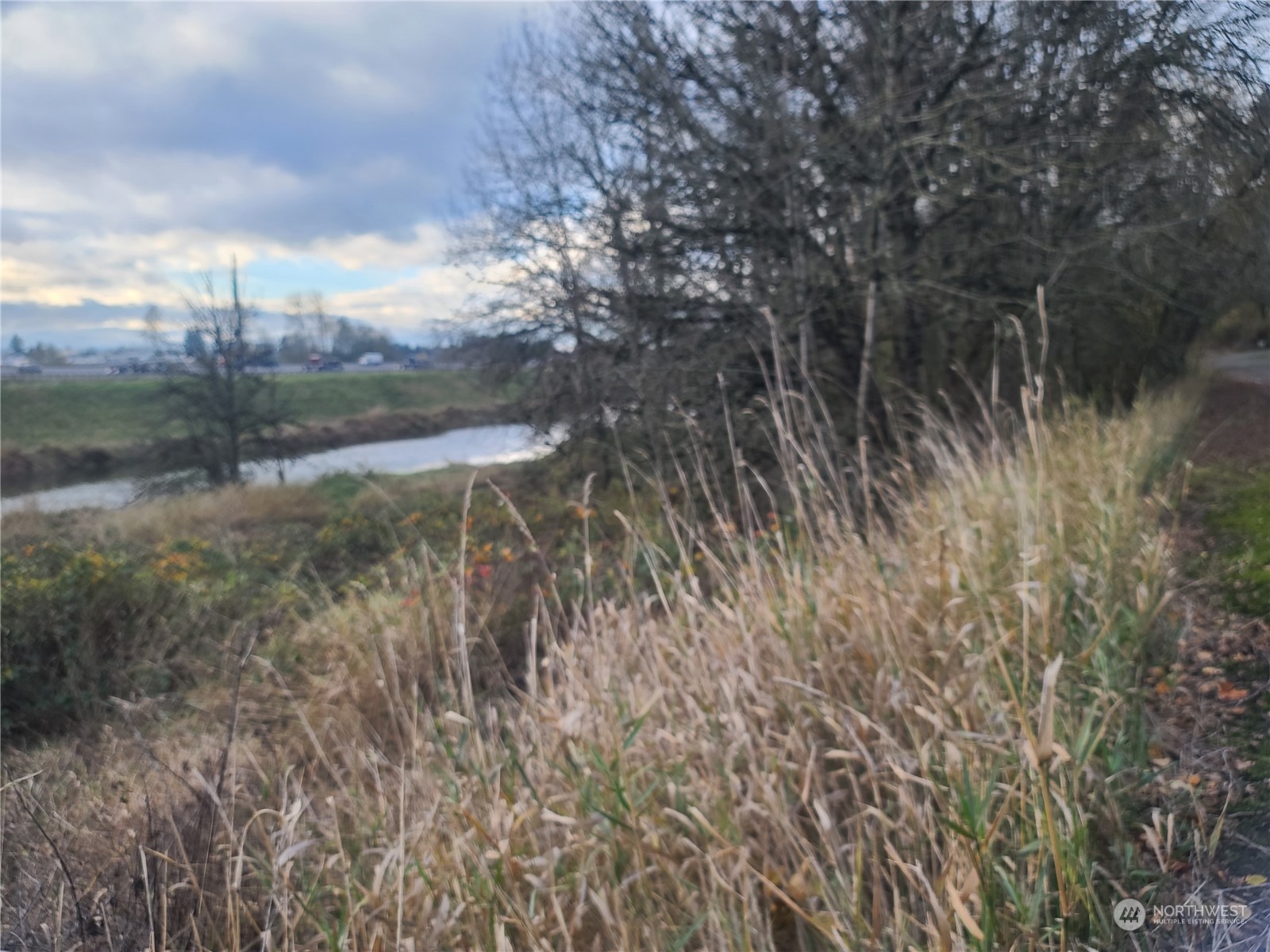 1919 Grade Street Kelso WA 98626