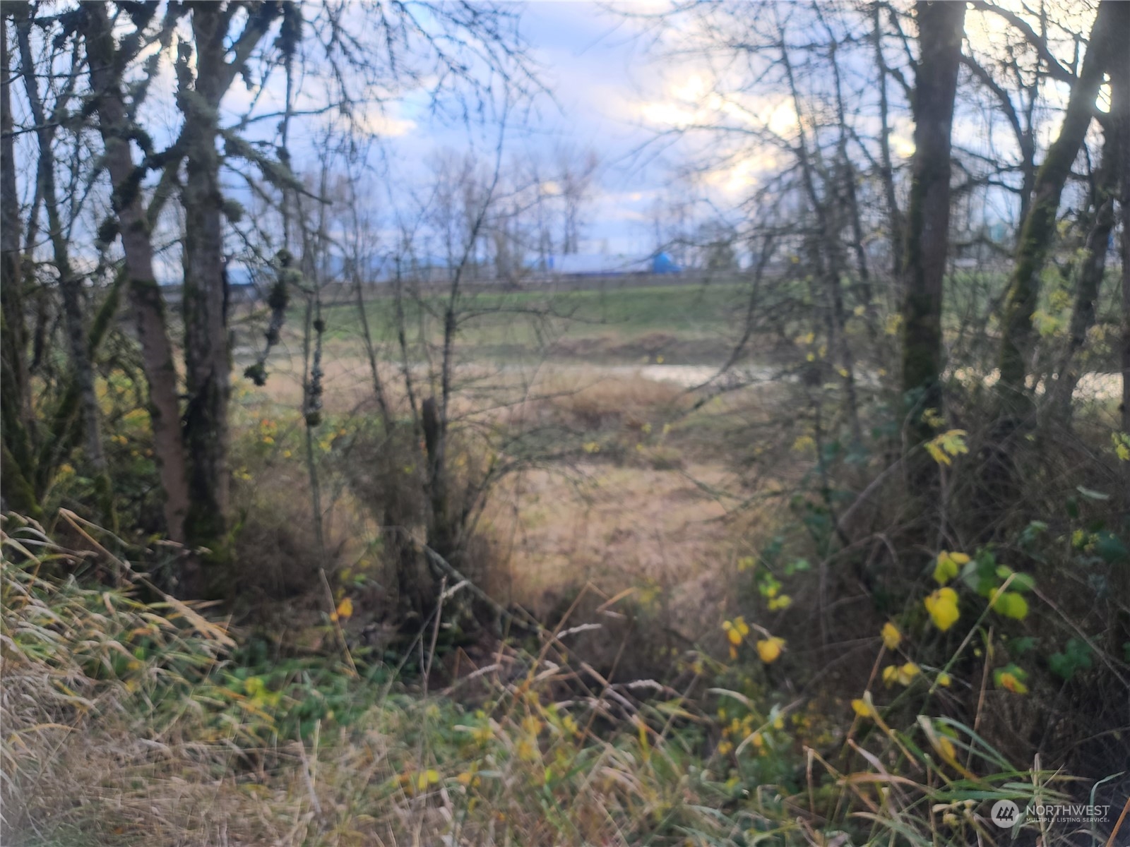 1919 Grade Street Kelso WA 98626