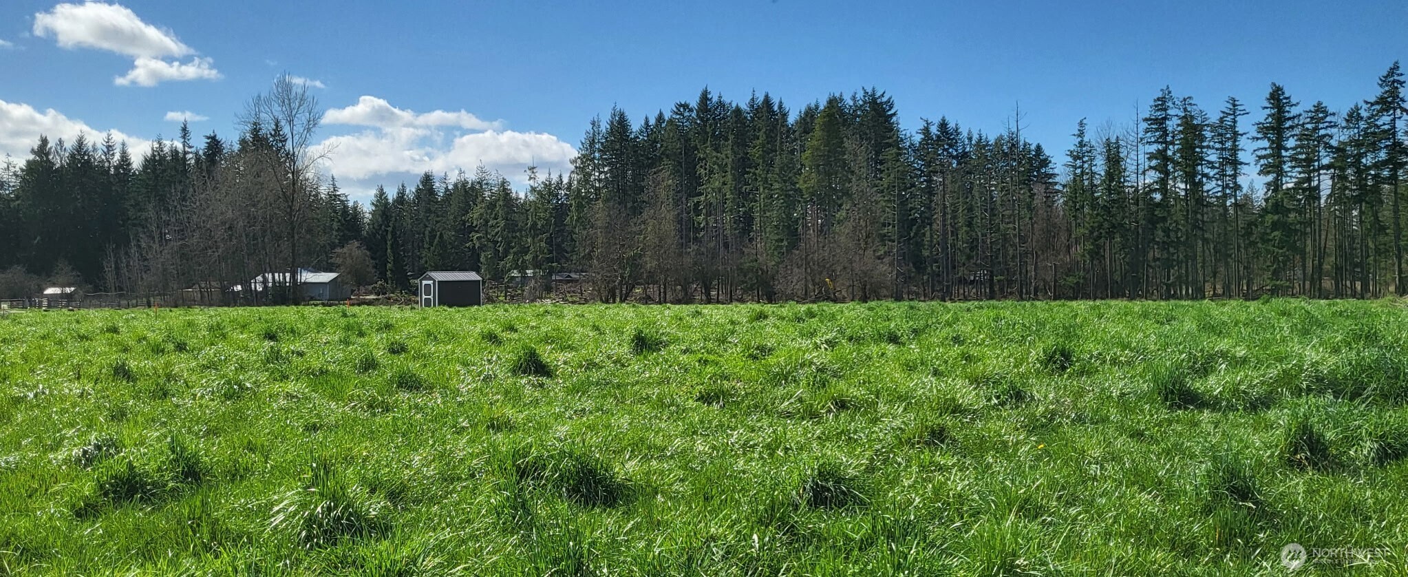 444 Meier Road Winlock WA 98596