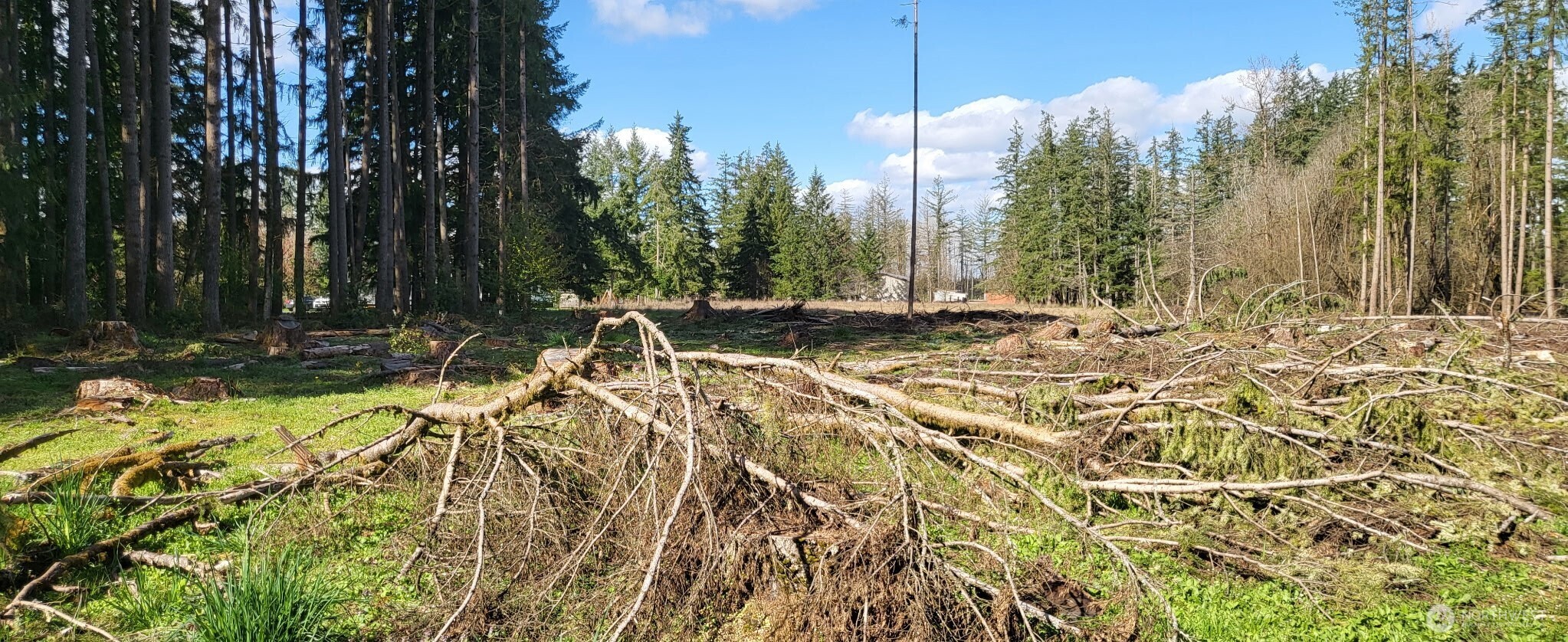 444 Meier Road Winlock WA 98596
