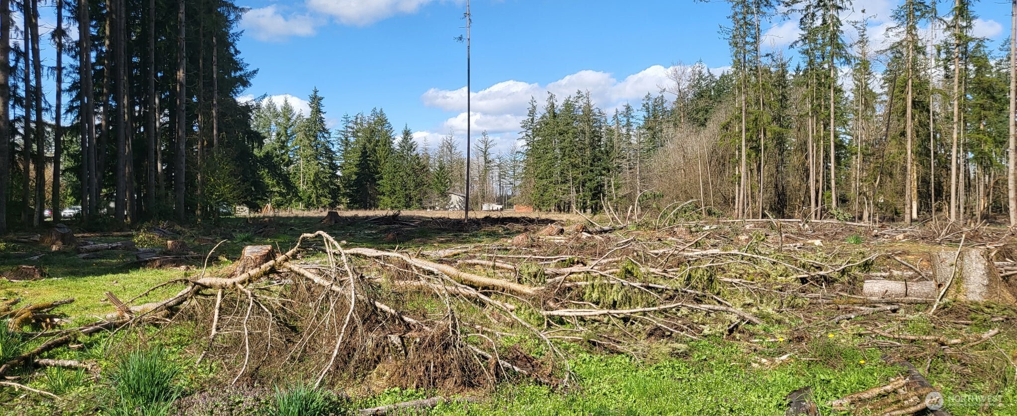 444 Meier Road Winlock WA 98596