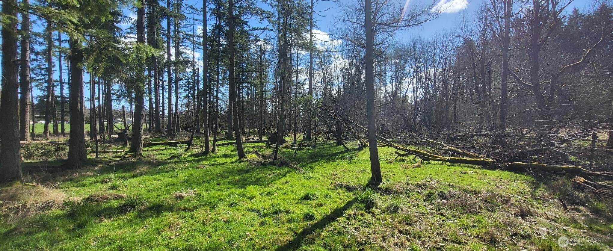 444 Meier Road Winlock WA 98596