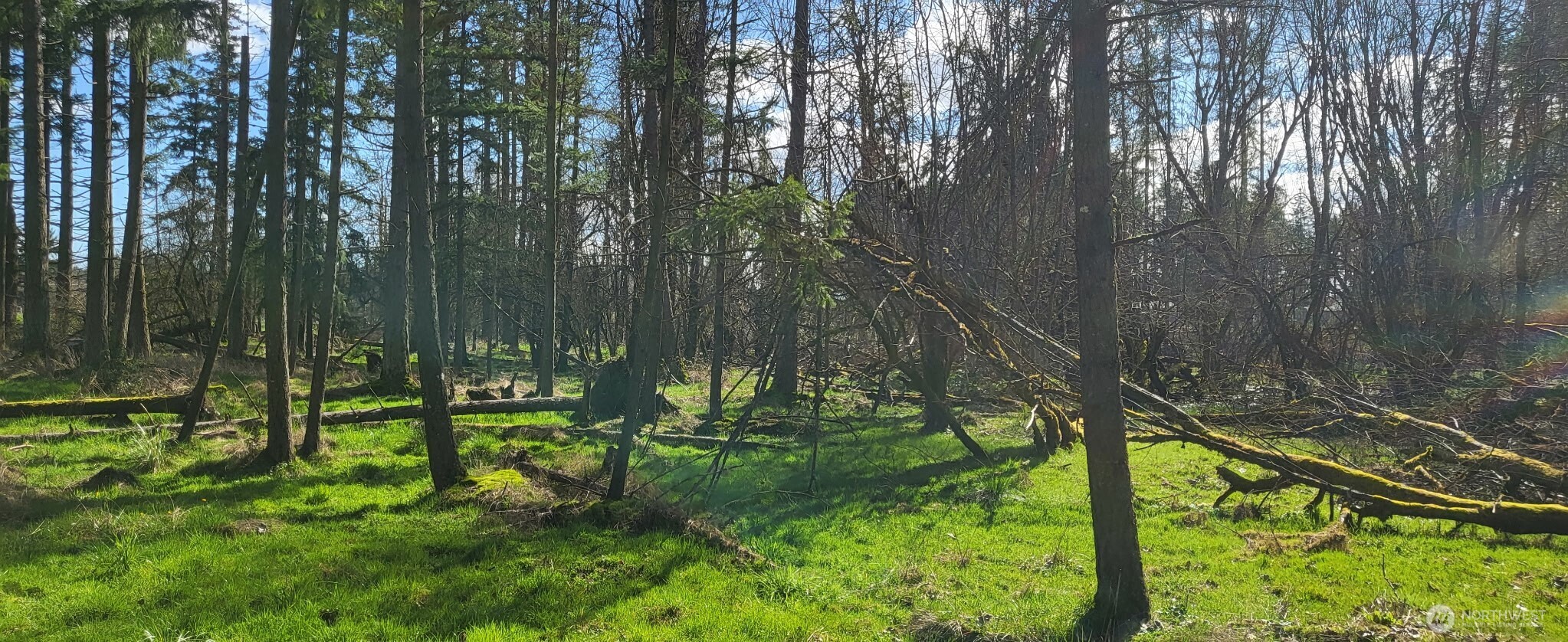 444 Meier Road Winlock WA 98596
