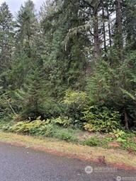9229 Kootenia Drive Anderson Island WA 98303