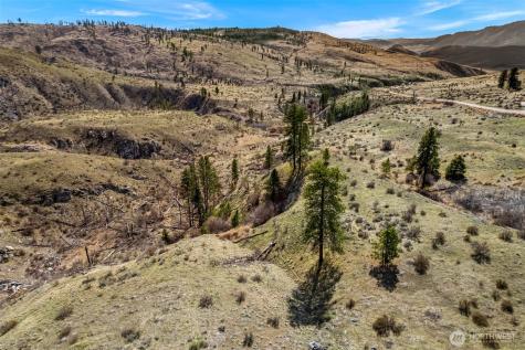 576 Indian Dan Canyon Brewster WA 98812