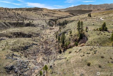 576 Indian Dan Canyon Brewster WA 98812