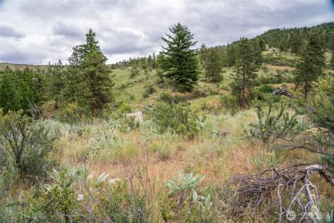 35 Watchman Lane Wenatchee WA 98801