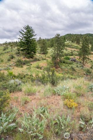 35 Watchman Lane Wenatchee WA 98801