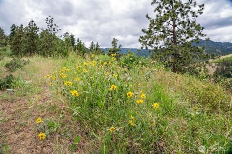35 Watchman Lane Wenatchee WA 98801