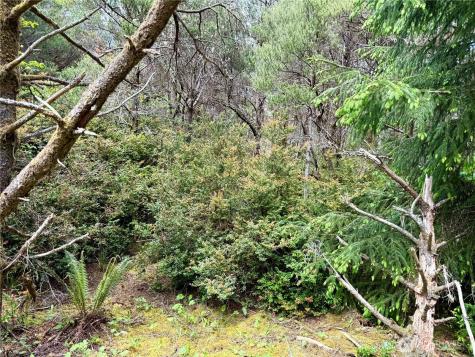 1007 Sand Castle Lane Westport WA 98595