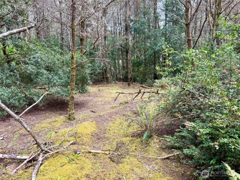 1007 Sand Castle Lane Westport WA 98595