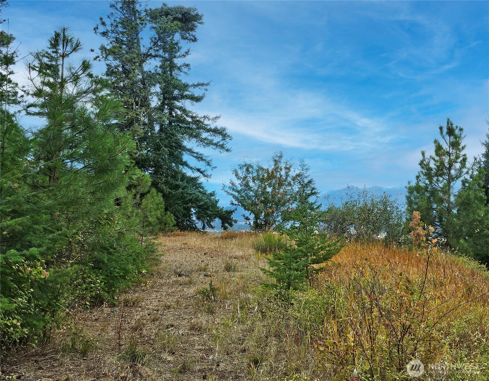 0 Skull Springs Road Cle Elum WA 98922